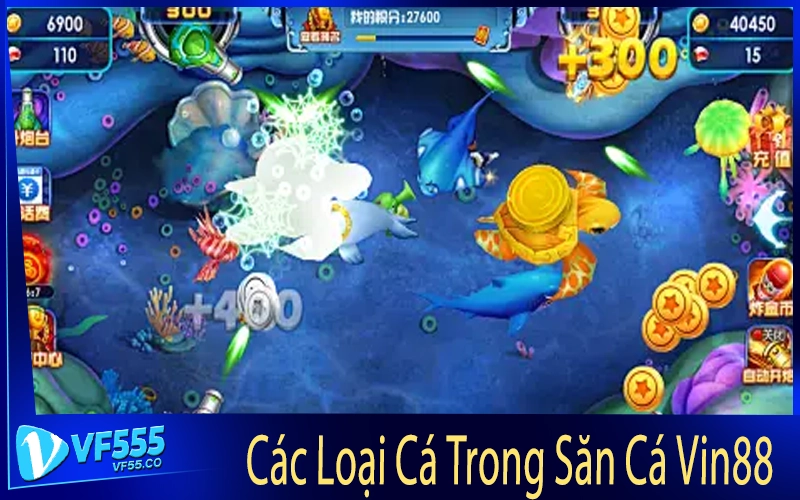 Các Loại Cá Trong Săn Cá Vin88