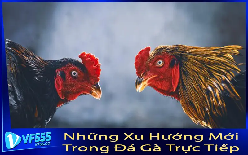 Những Xu Hướng Mới Trong Đá Gà Trực Tiếp