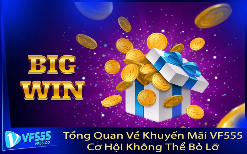 Tổng Quan Về Khuyến Mãi VF555 - Cơ Hội Không Thể Bỏ Lỡ