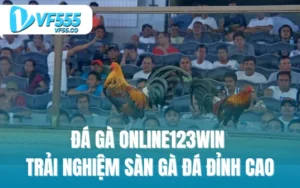 Đá gà online123win - trải nghiệm sàn gà đá đỉnh cao