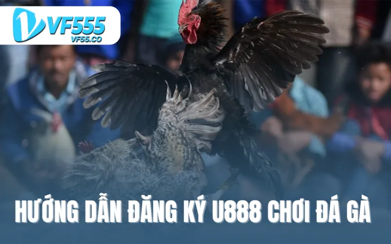 Hướng dẫn đăng ký U888 để chơi đá gà