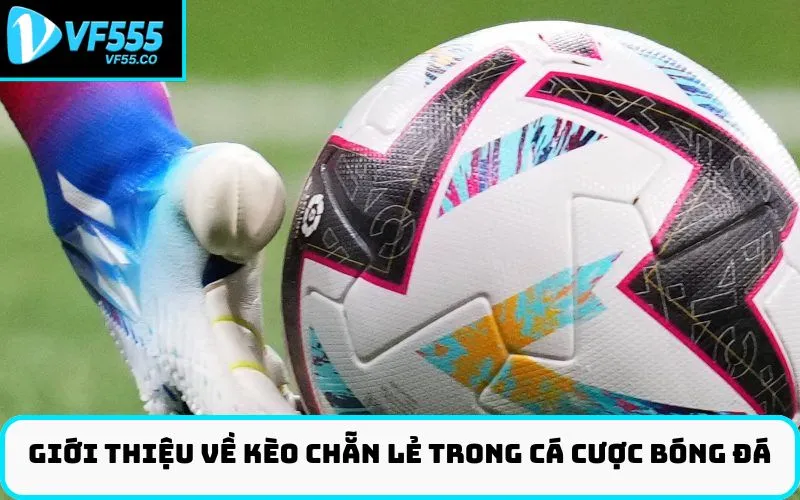 Giới thiệu về kèo chẵn lẻ trong cá cược bóng đá