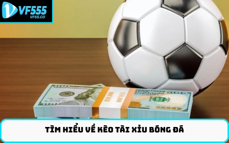 Tìm hiểu về Kèo tài xỉu bóng đá