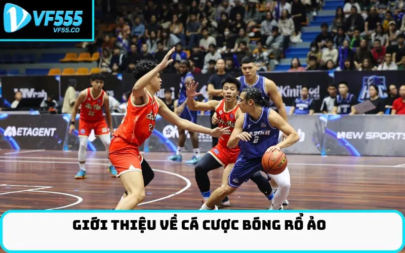 Giới thiệu về cá cược bóng rổ ảo