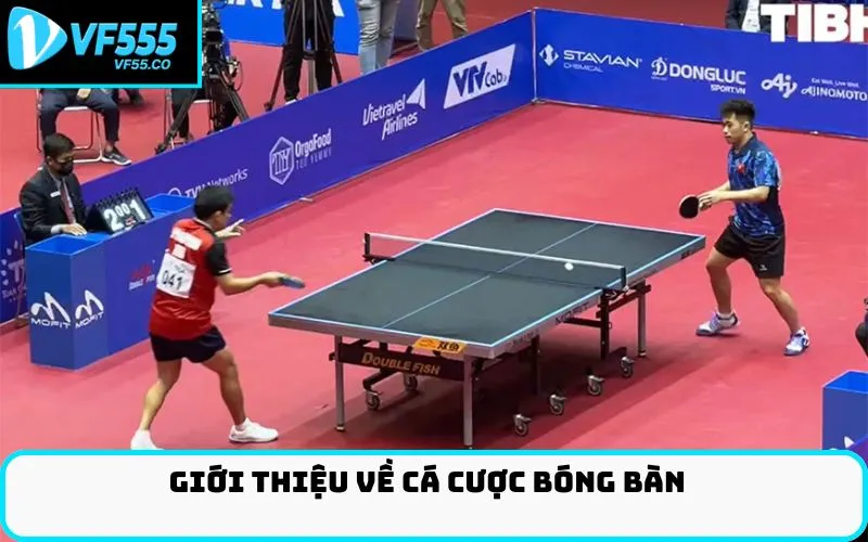 Giới Thiệu về Cá Cược Bóng Bàn