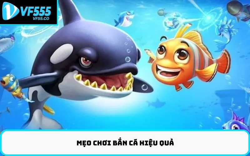 Mẹo chơi bắn cá hiệu quả