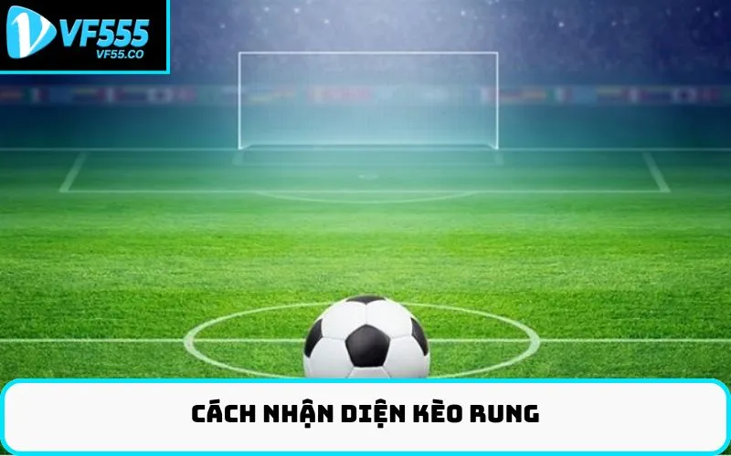 Cách Nhận Diện Kèo Rung