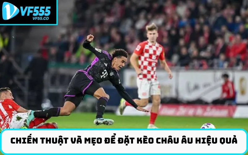 Chiến Thuật Và Mẹo Để Đặt Kèo Châu Âu Hiệu Quả