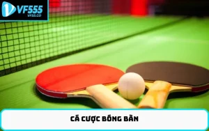 Cá cược bóng bàn